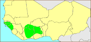 Carte S. cinnabarinus